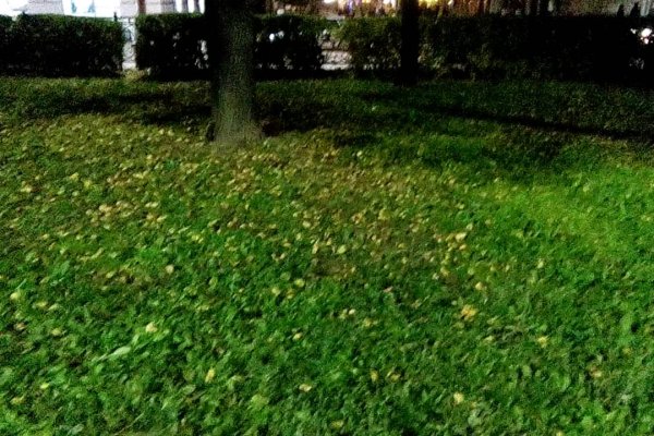 Кракен дарк шоп