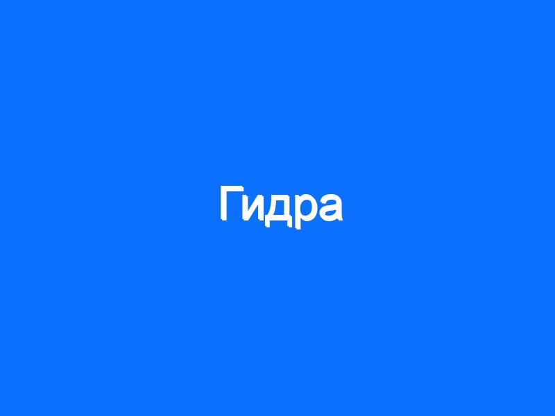 Как подключиться к даркнету